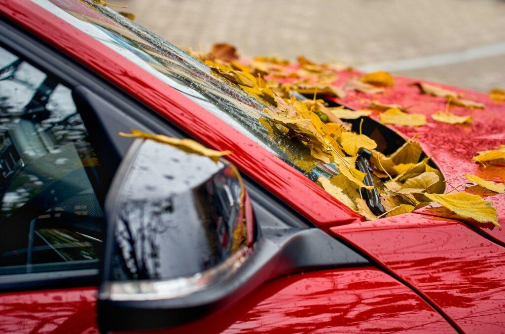 Close up of car wiper with autumn maple yellow leaves on windshield on a red car.