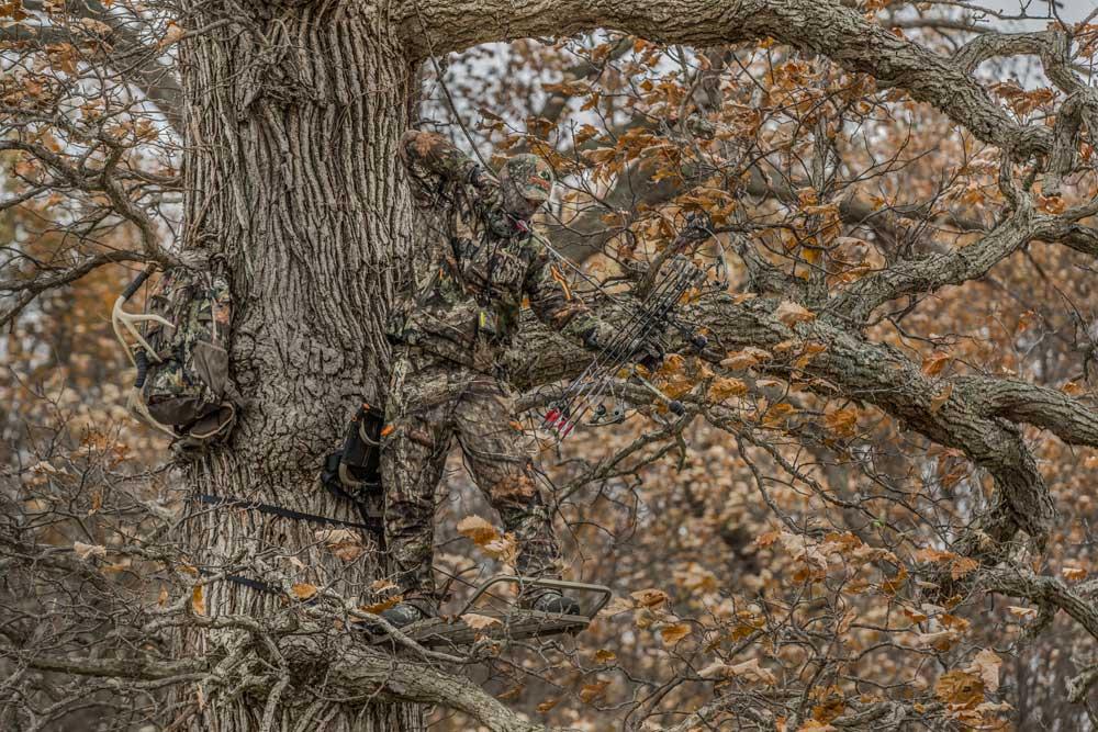 bowhunter in tree stand