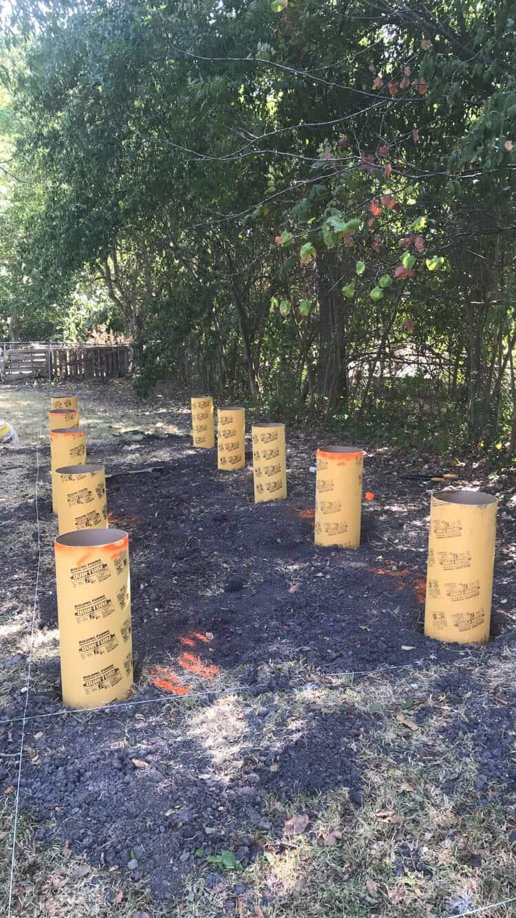 Rows of pier forms in the dirt