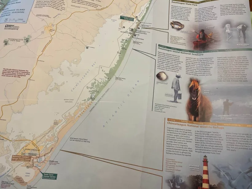 Assateague or Chincoteague map aka Ponies Island