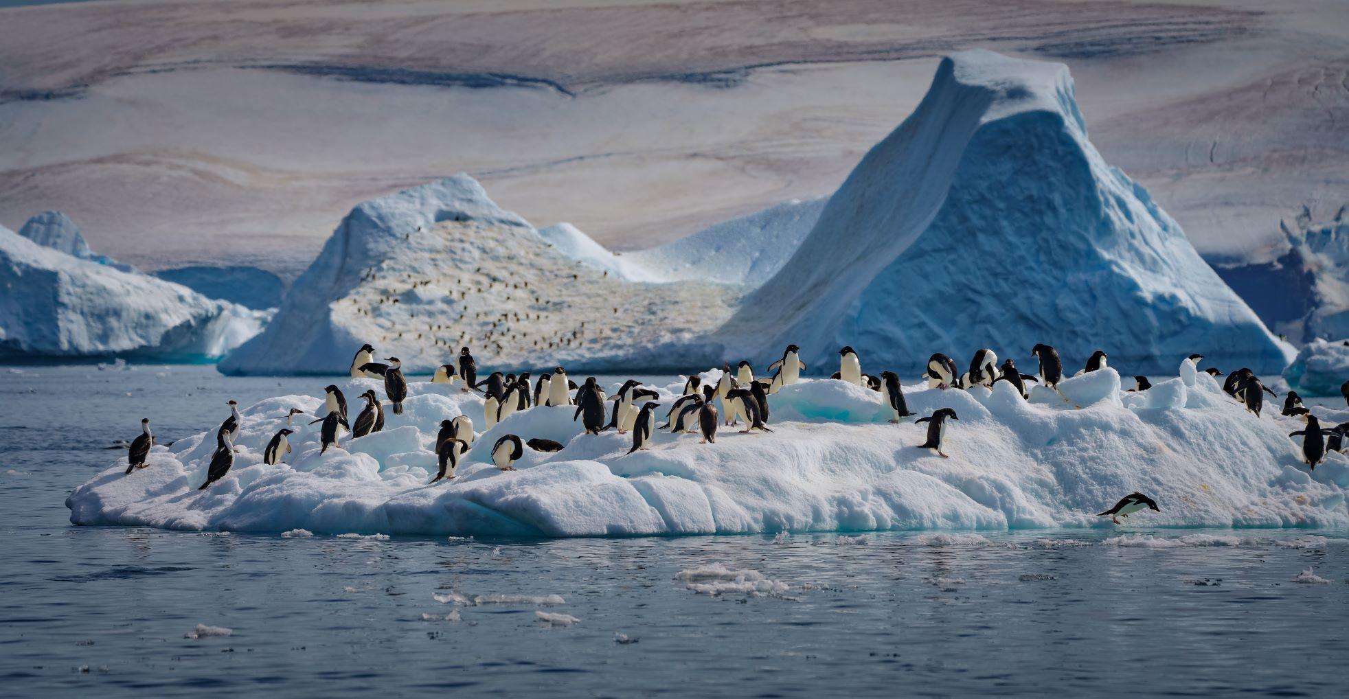 Travelers crossing Lemaire channel, in Antarctica, aboard Magellan Explorer. Photography by Sandra Walser.