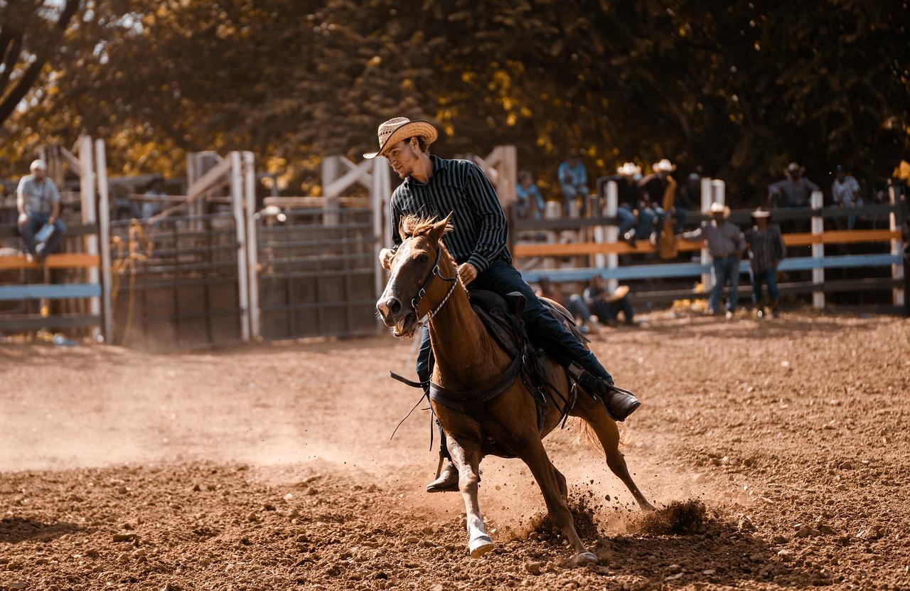 guy on rodeo