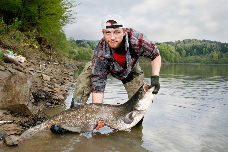 How Long Can Catfish Live out of Water - Catch and Release