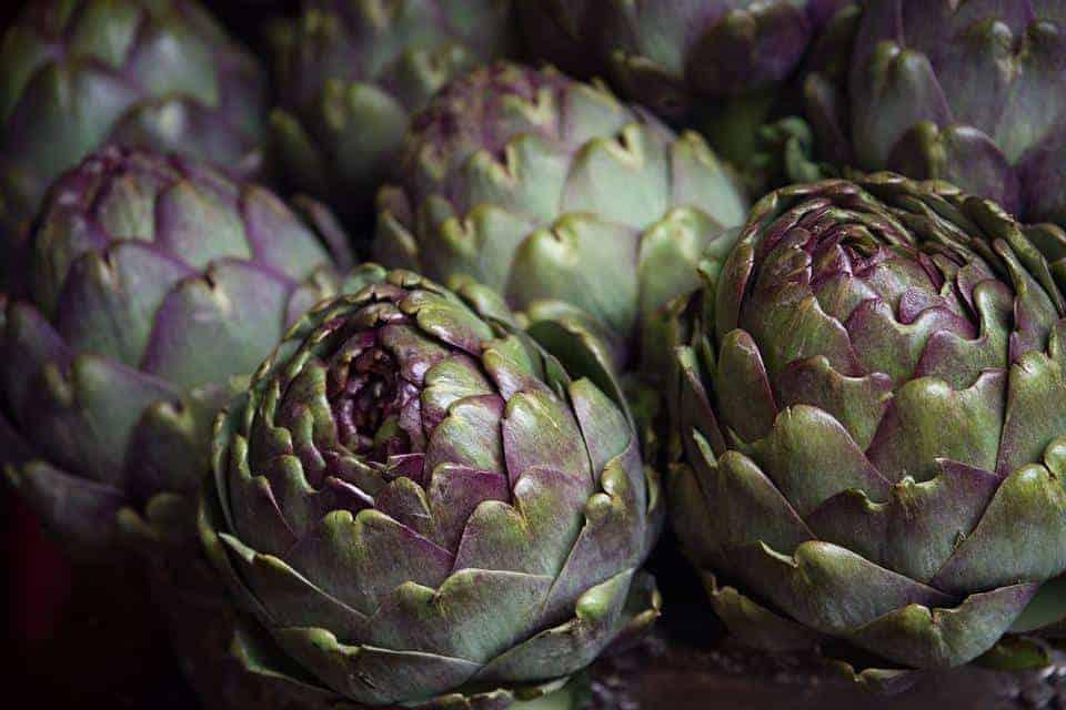 How long do artichokes last in the fridge