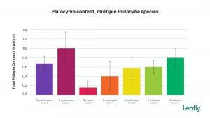 total psilocin content for different species of Psilocybe mushrooms