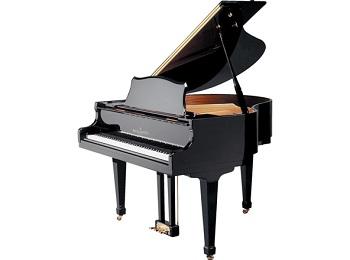 Professional Grand Piano