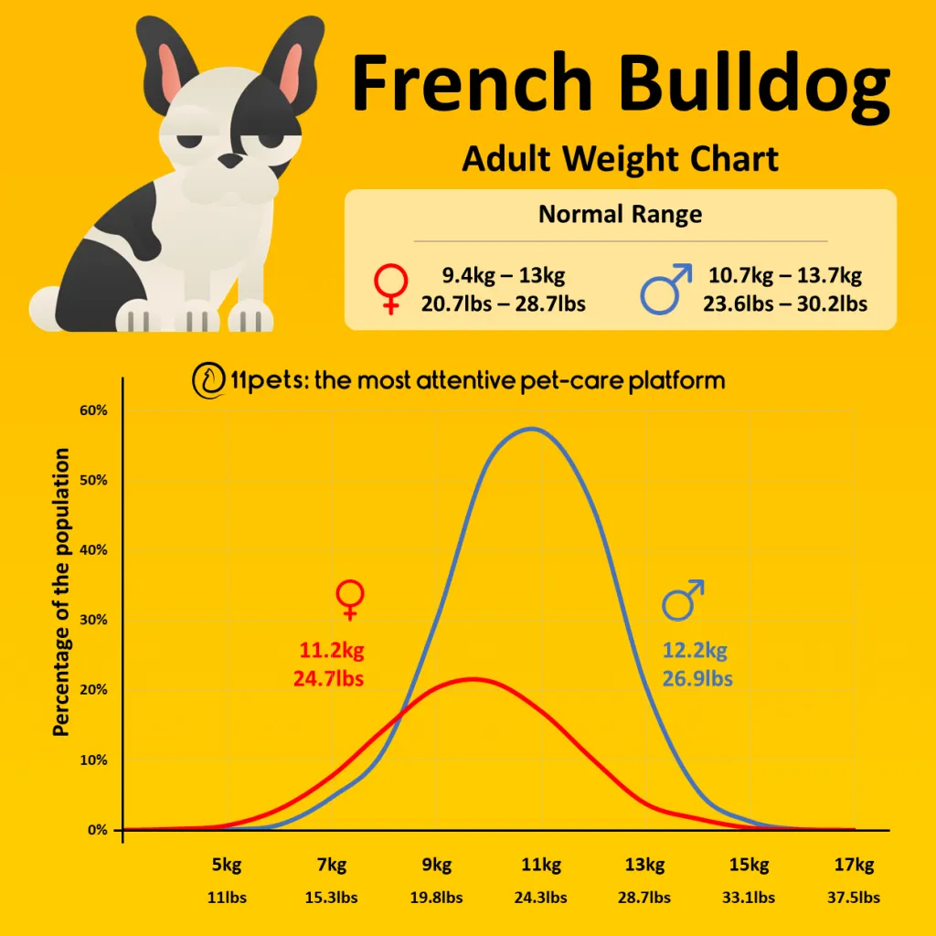 French Bulldog Weight Chart