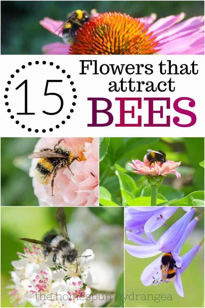 Ways to Attract Bumble Bees