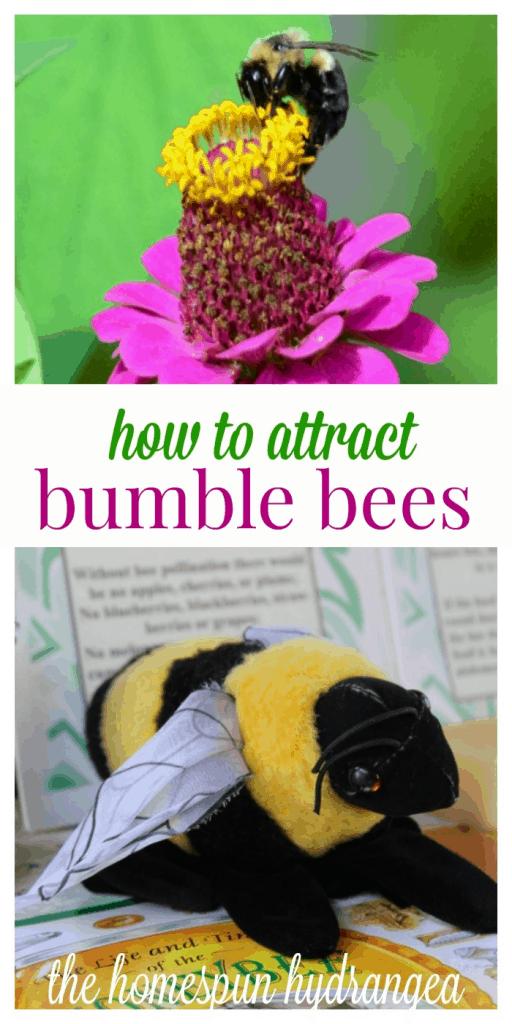 Ways to Attract Bumble Bees