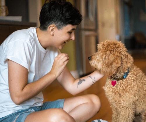 puppy training is a great time to bond with puppy