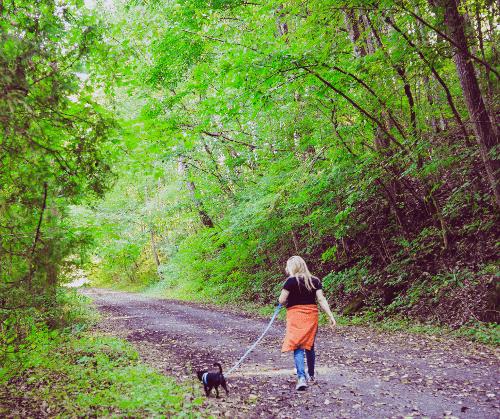 bond with puppy while taking a leisurely walk