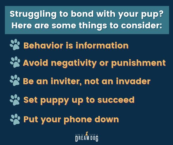 5 Tips to Help Solve Puppy Bonding Problems