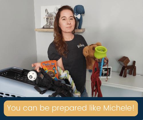 get supplies your puppy will need