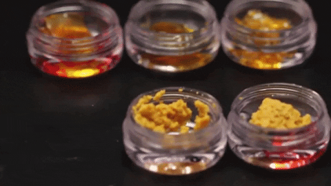 giphy Flying With Weed: How To Get Cannabis Through Airport Security