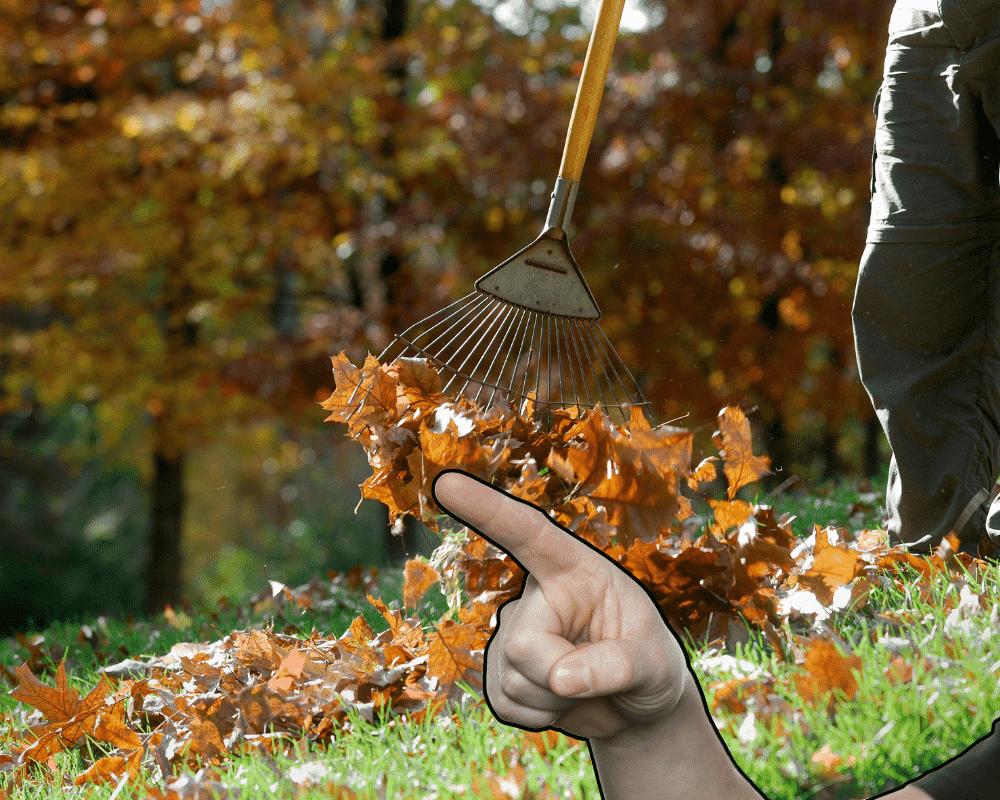 brushing small rake too fast