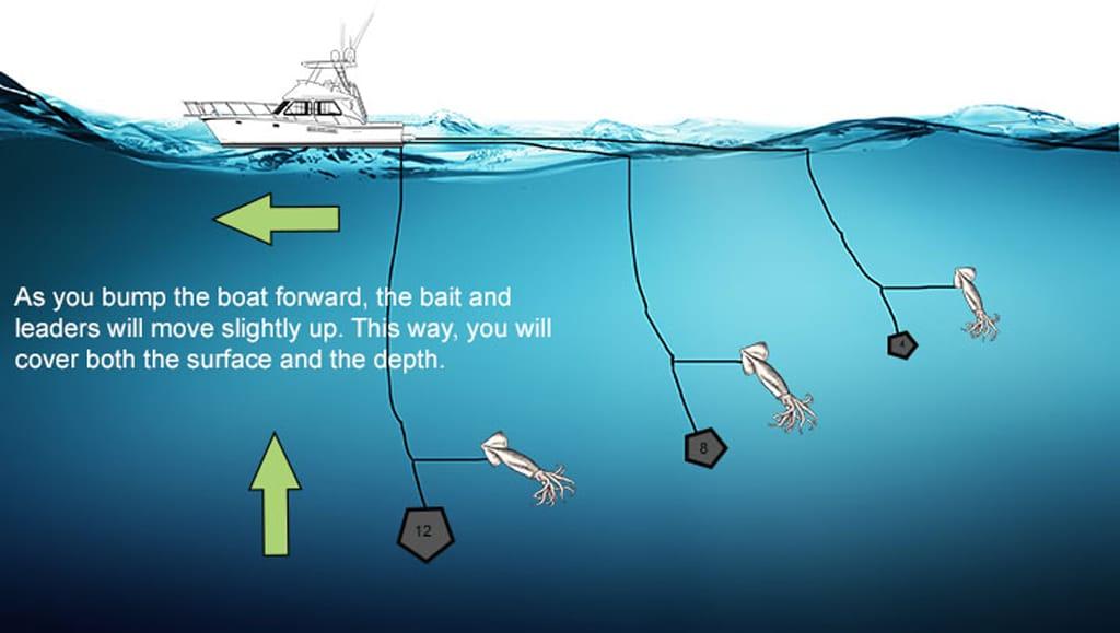 An infographic illustrating bump trolling, a daytime Swordfish fishing technique.