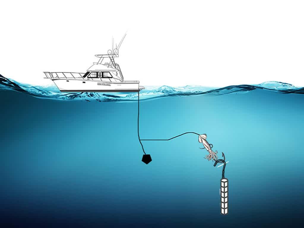 An infographic illustrating the two-weight rig which is used for daytime Swordfishing.