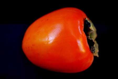 A single Hachiya Persimmon laying on it