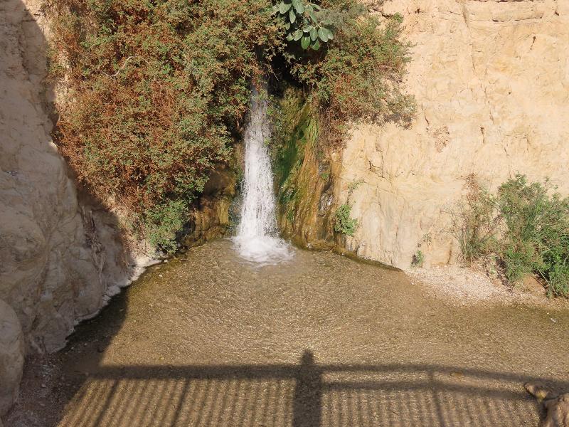 Trail with steps going up on the Ein Gedi Nature Reserve