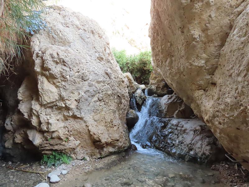 Shaded tunnel in the Ein Gedi Reserve