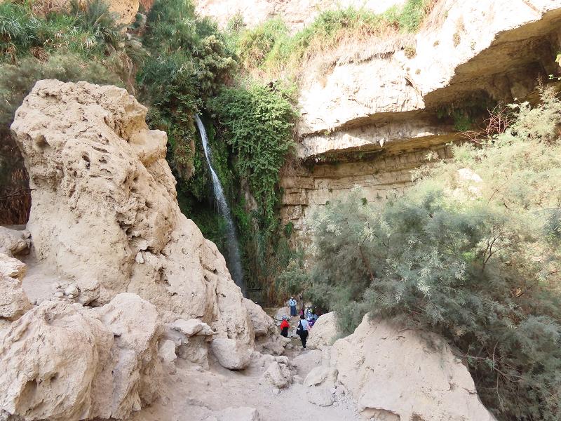 Ein Gedi Reserve: Visiting by Public Transport