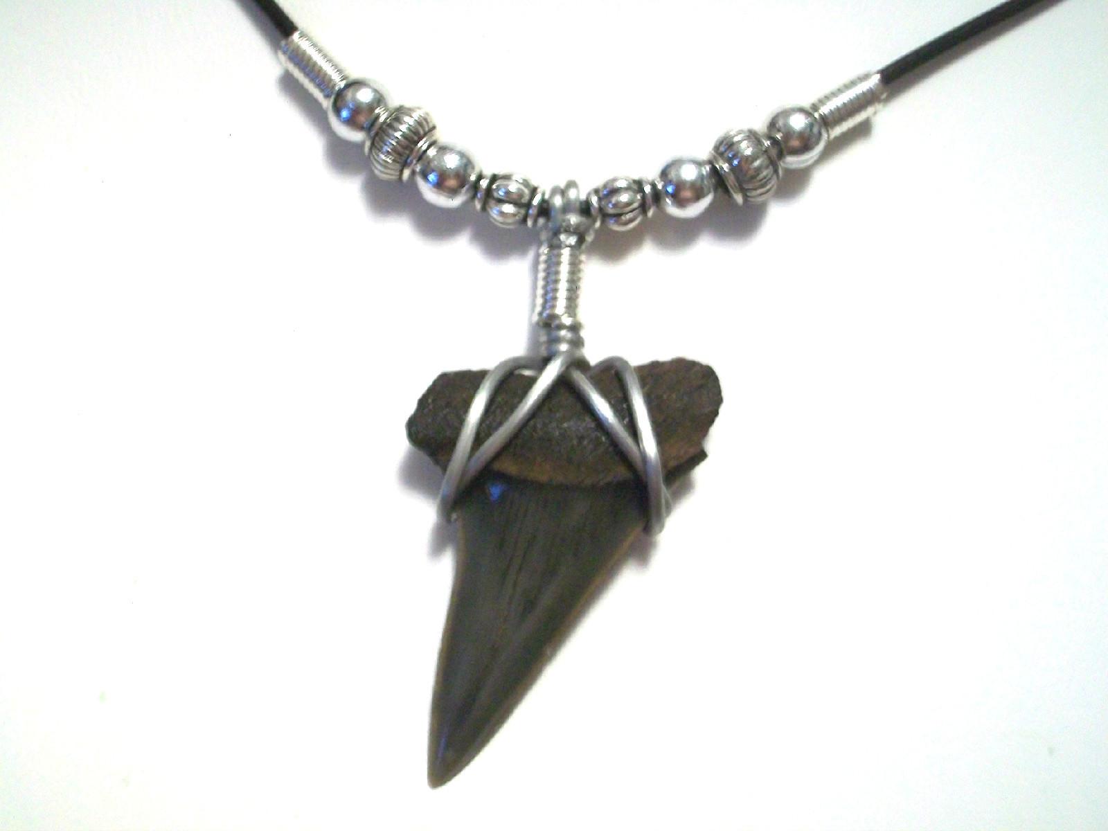 Shark Tooth Necklace