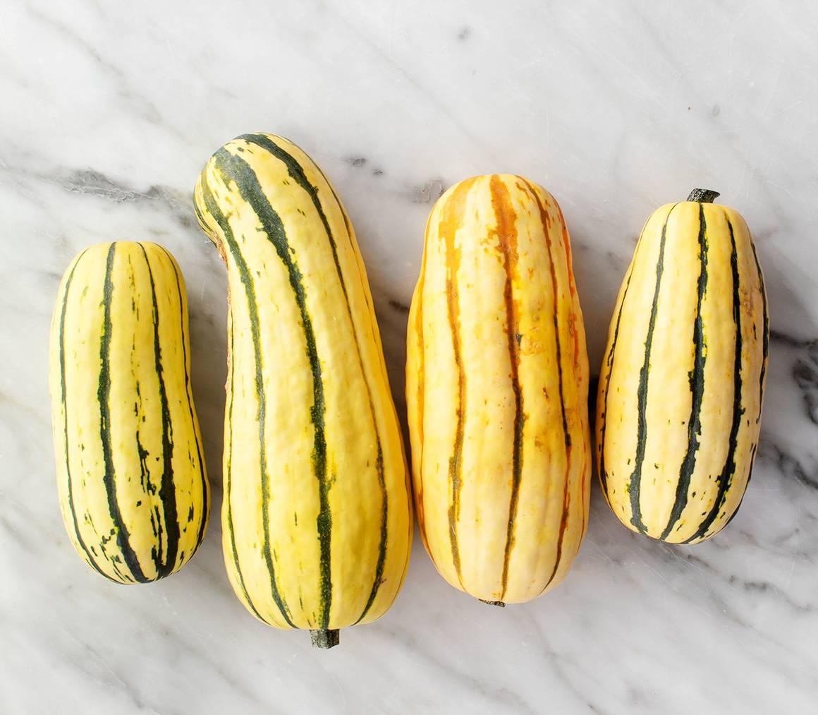 Delicata squash