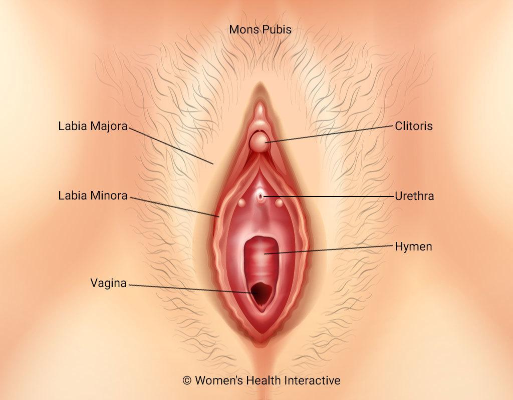 inky illustration of a beautiful woman with her head tipped upward, a cherry resting against her tongue, clit sucking and oral sex on a vulva concept