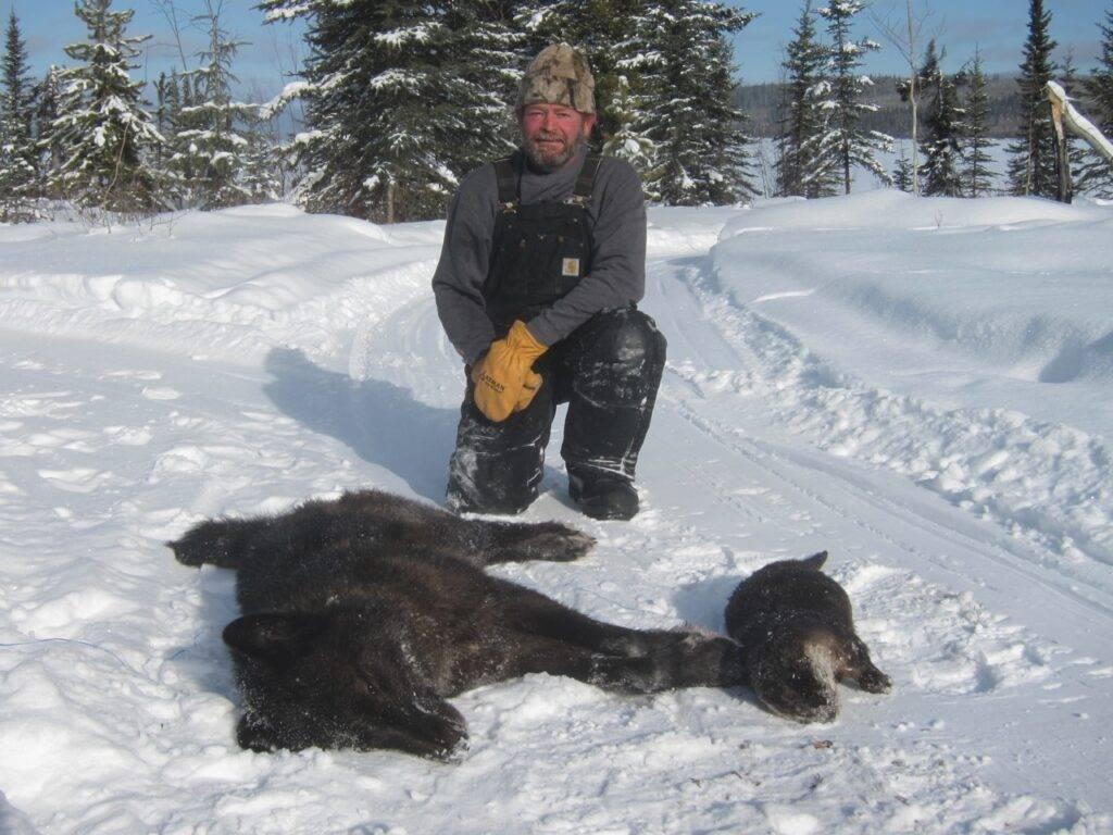 Wolf trapping is a challenging hobby