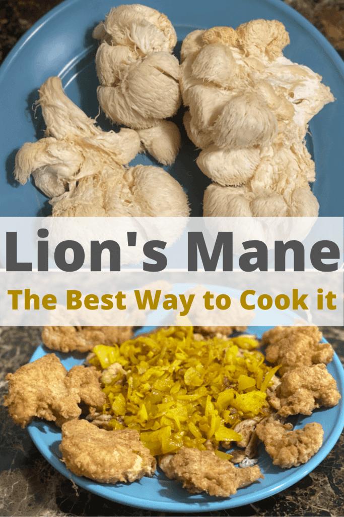 cooking lions mane mushroom