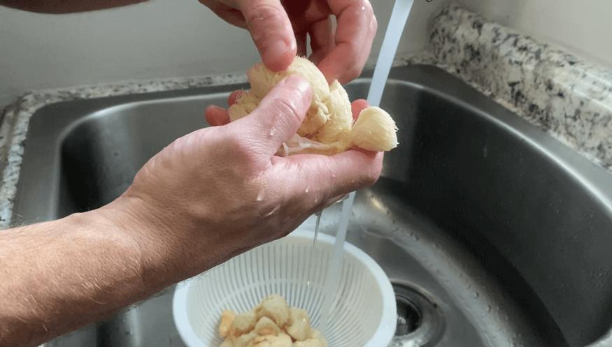 raw lions mane mushroom